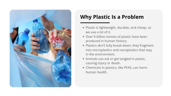 The Issue With Plastics Education Presentation — slide 4