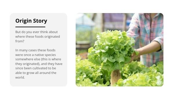 Production of Food Around the World Education Presentation — slide 5