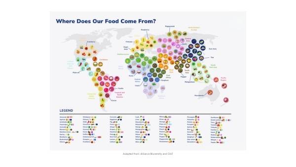 Production of Food Around the World Education Presentation — slide 7