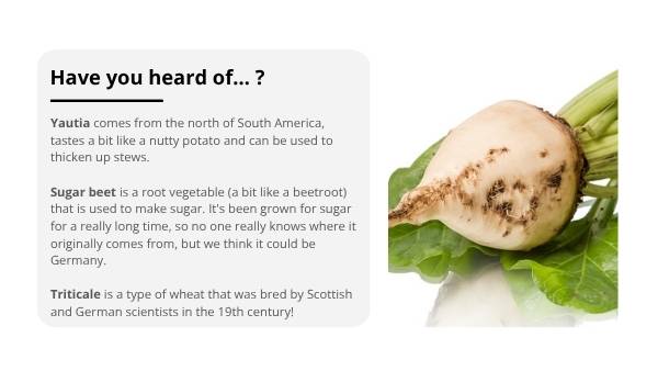 Production of Food Around the World Education Presentation — slide 9