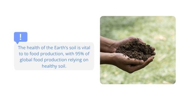 Soil and Agriculture Education Presentation — slide 6