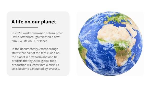 Soil and Agriculture Education Presentation — slide 7