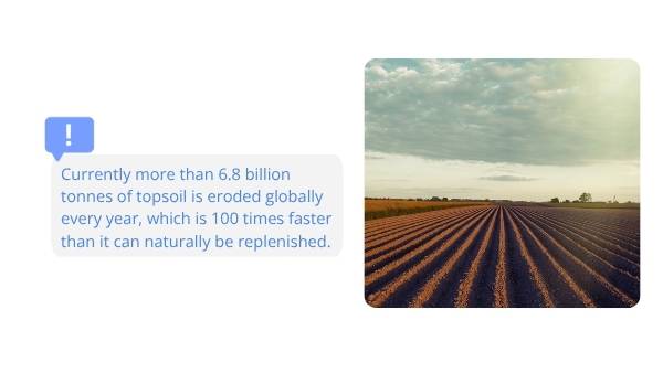 Soil and Agriculture Education Presentation — slide 8