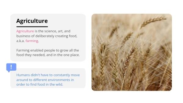 Soil and Agriculture Education Presentation — slide 11