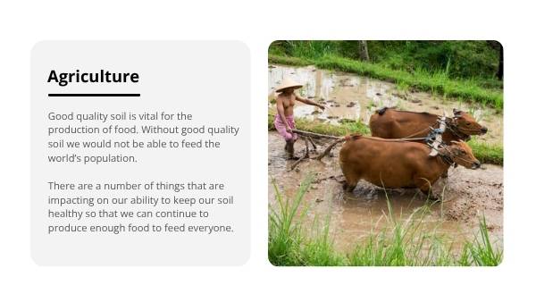 Soil and Agriculture Education Presentation — slide 12
