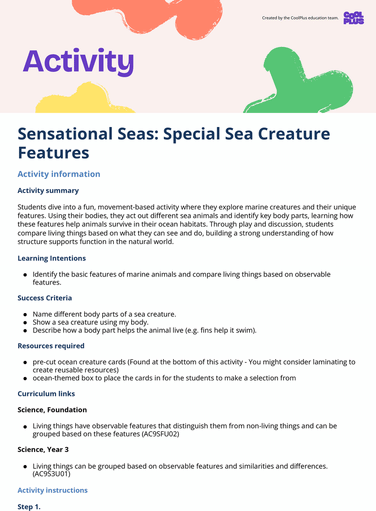 Sensational Seas: Special Sea Creature Features Activity