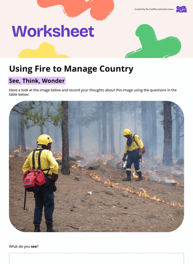 Using Fire to Manage Country Worksheet