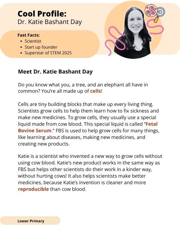Superstars of STEM Cool Profile Dr Katie Bashant Day Digital Worksheet