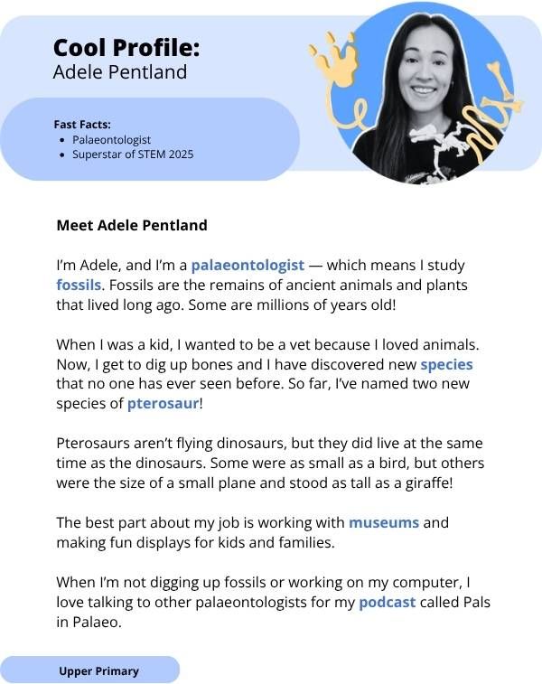 Superstars of STEM Cool Profile Adele Pentland Digital Worksheet