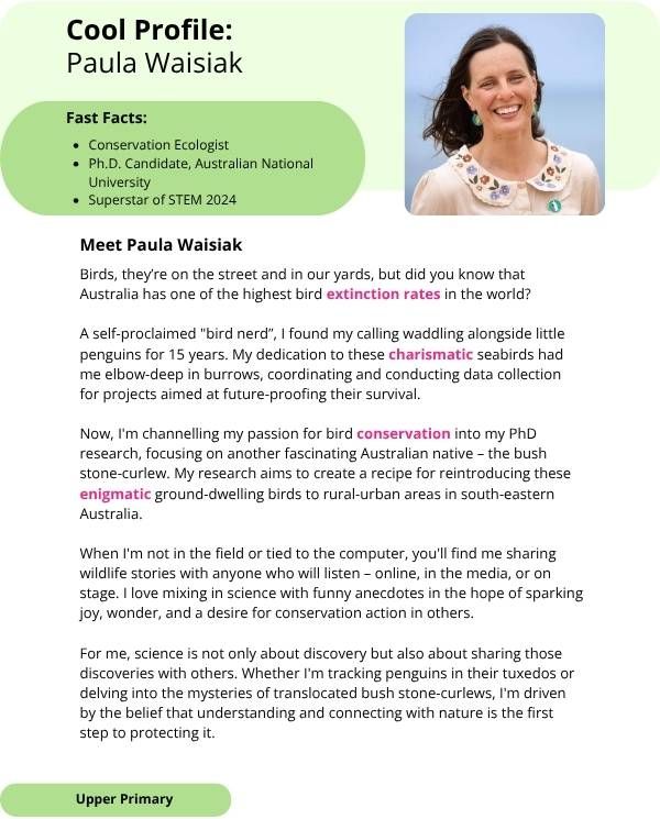 Superstars of STEM Cool Profile Paula Waisiak Digital Worksheet