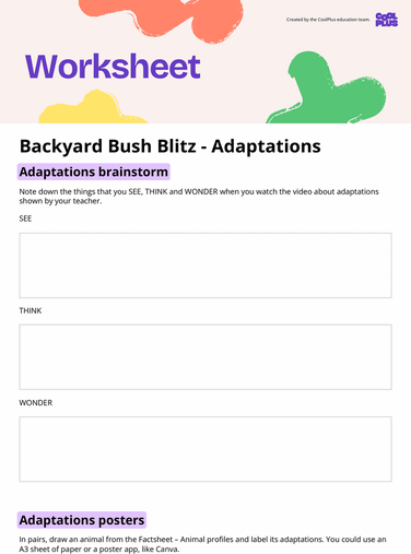 Backyard Bush Blitz: Adaptations Worksheet