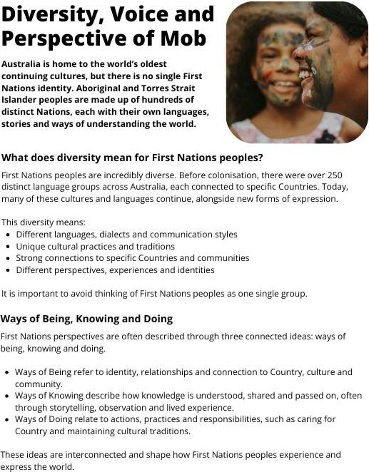Diversity, Voice and Perspective of Mob Factsheet