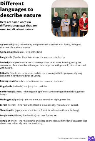 Different Languages To Describe Nature Factsheet